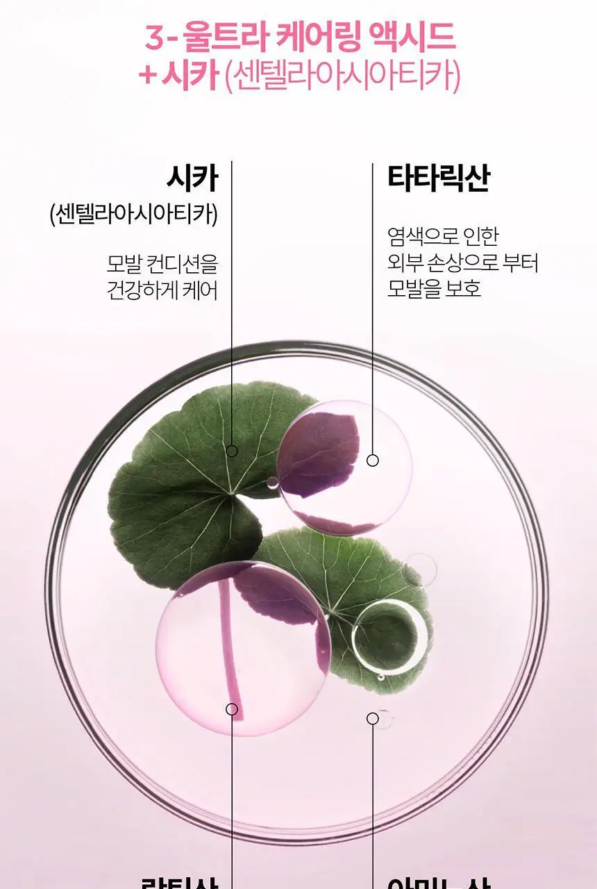 [염색모 케어] 케라스타즈 크로마 압솔뤼 워터 트리트먼트 210ml 기획/단품 상세페이지 8